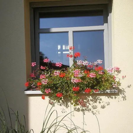 Appartementhaus Nienburg Esterno foto